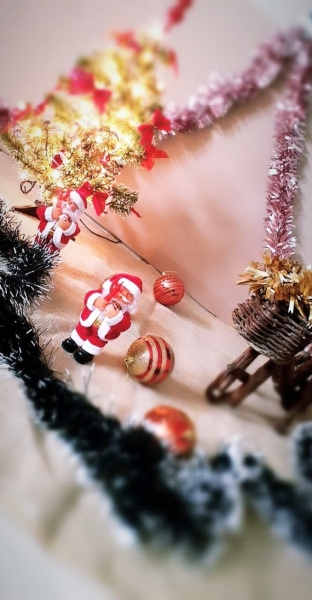 À Câmara Municipal de Nova Floresta, deseja a Todos um Feliz Natal
